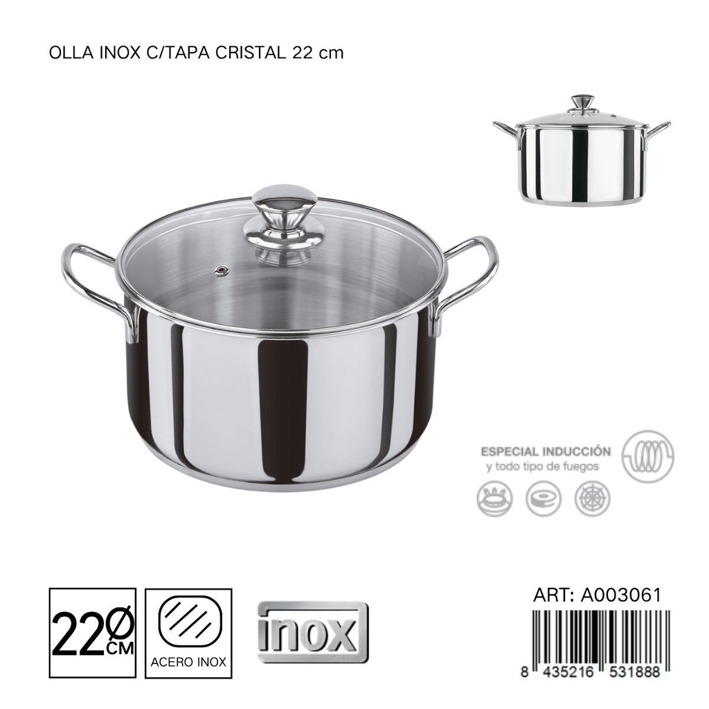 Olla de acero inoxidable con tapa de cristal 22 cm - Cacerolas y utensilios de cocina