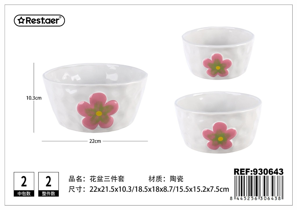 Maceta de cerámica pintada 3 piezas (21.5x21.5x10.1 cm) - Decoración para plantas