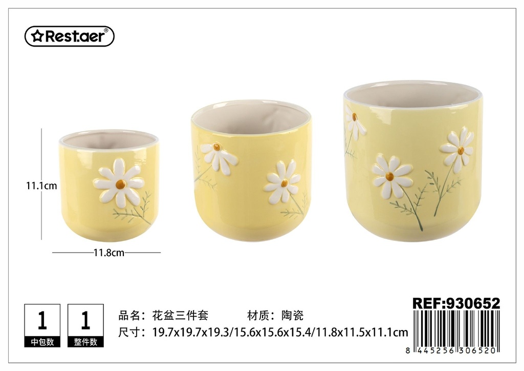 Maceta de cerámica pintada 3 piezas (19.7x19.7x19.3 cm) - Decoración para plantas