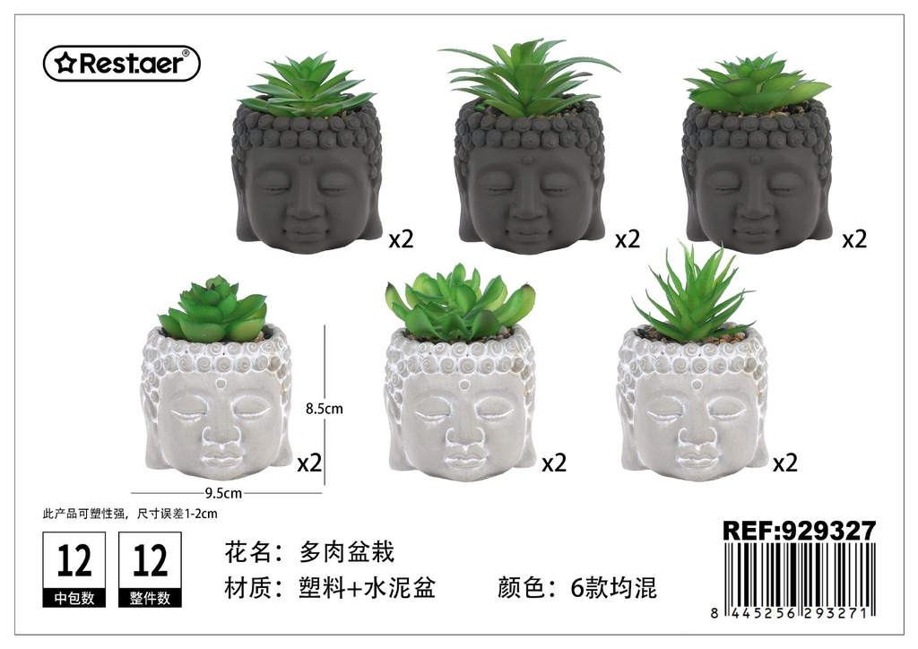 Planta suculenta de cabeza de Buda (9.5x9.3x8.5/12 cm) - Elementos creativos y stylish