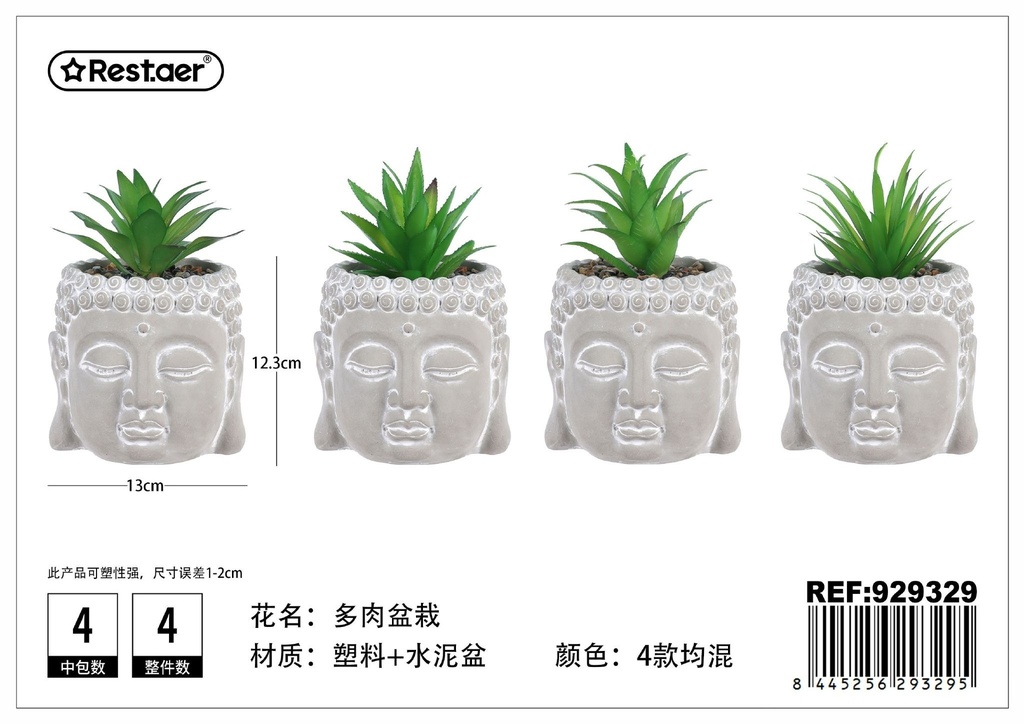Planta suculenta de cabeza de Buda (13x12.8x12.3/19.5 cm) - Elementos decorativos y jardinería moderna