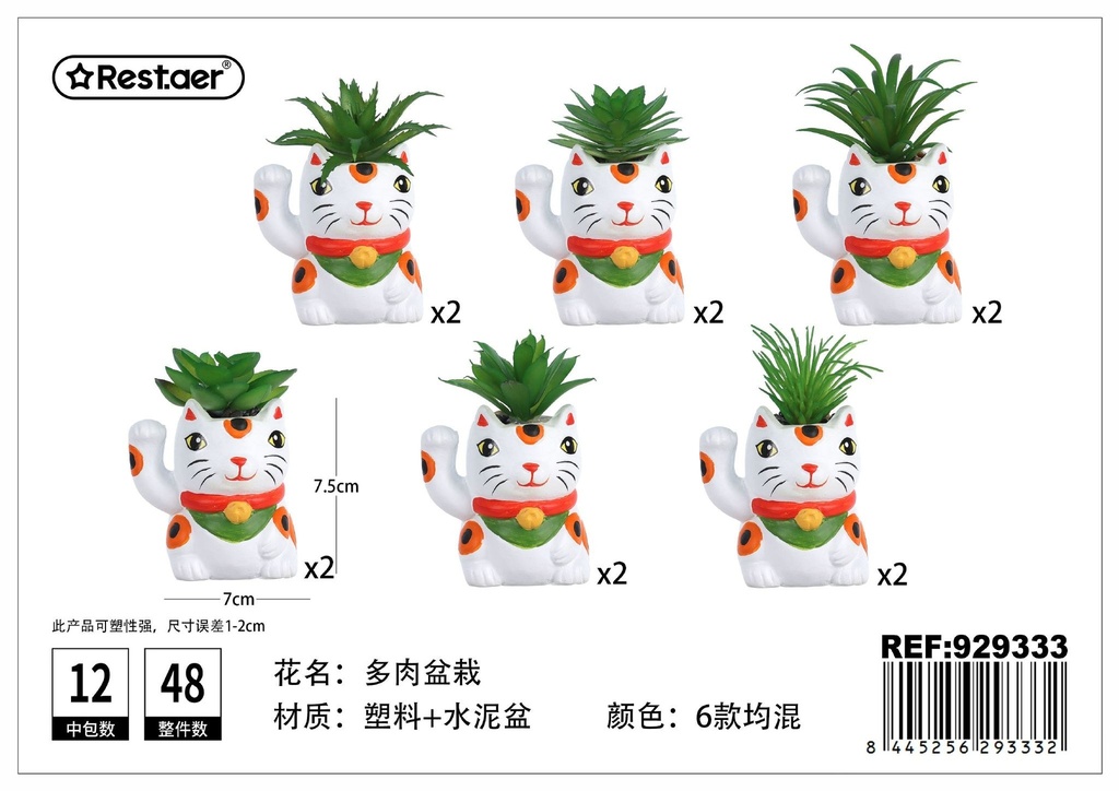 Planta suculenta de gato atrapa dinero (7x5.6x7.5/10.5 cm) - Elementos creativos y decoración