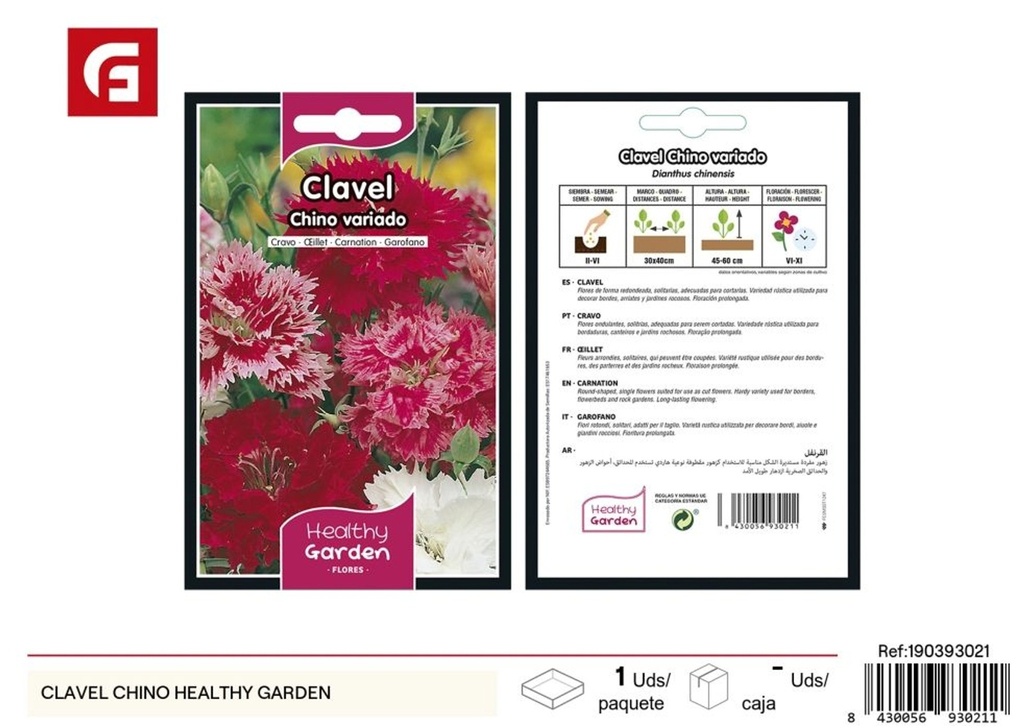 Clavel chino Healthy Garden - Semillas y plantas