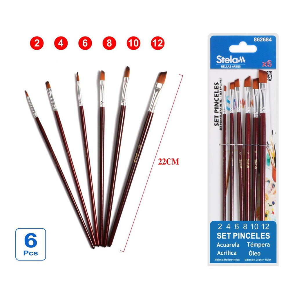 Set pinceles para pintura 6pcs