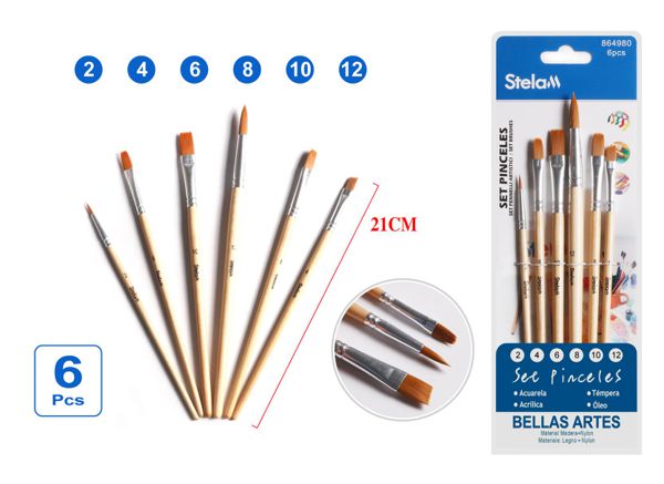 Set de pinceles de pintura 6pcs para artistas