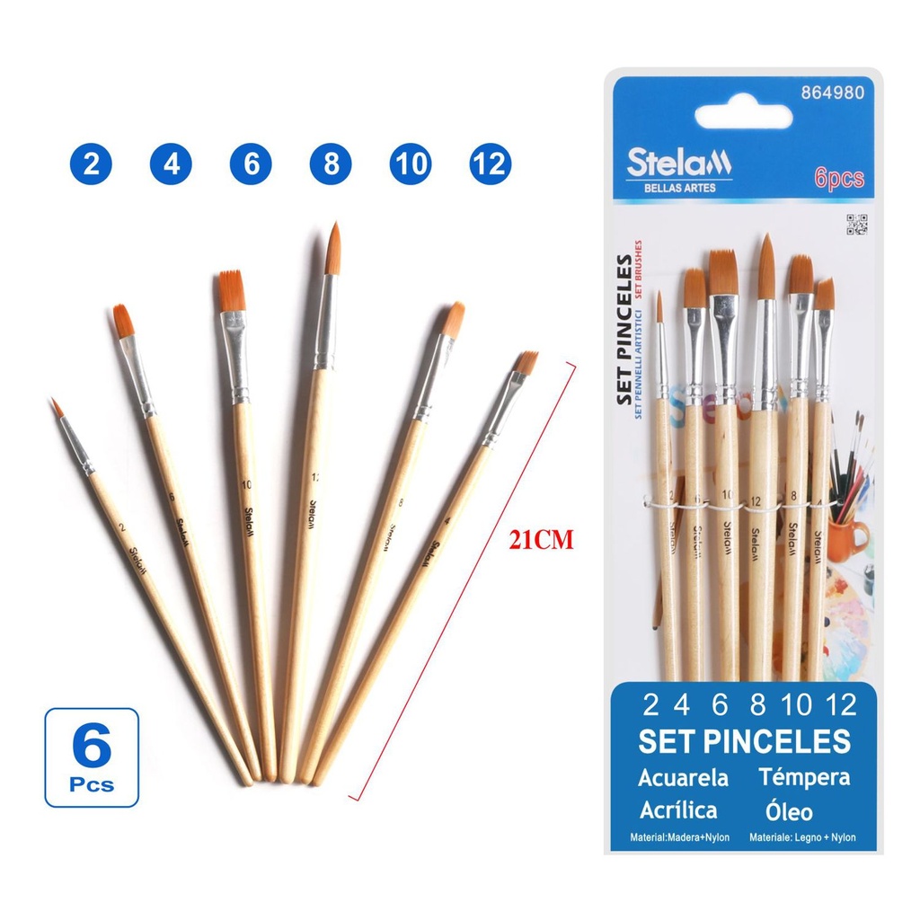 Set de pinceles de pintura 6pcs para artistas