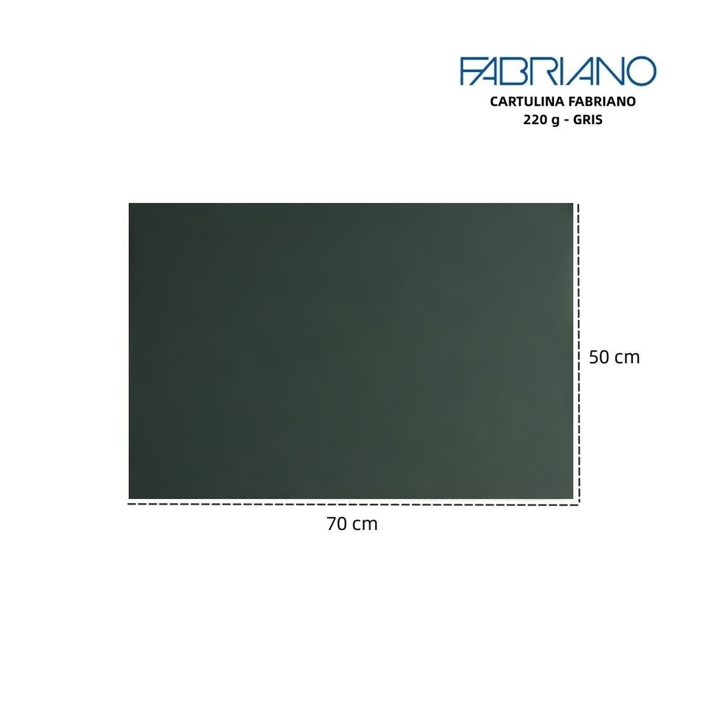 Cartulina Fabriano LR 220g 50x70cm gris oscuro para manualidades