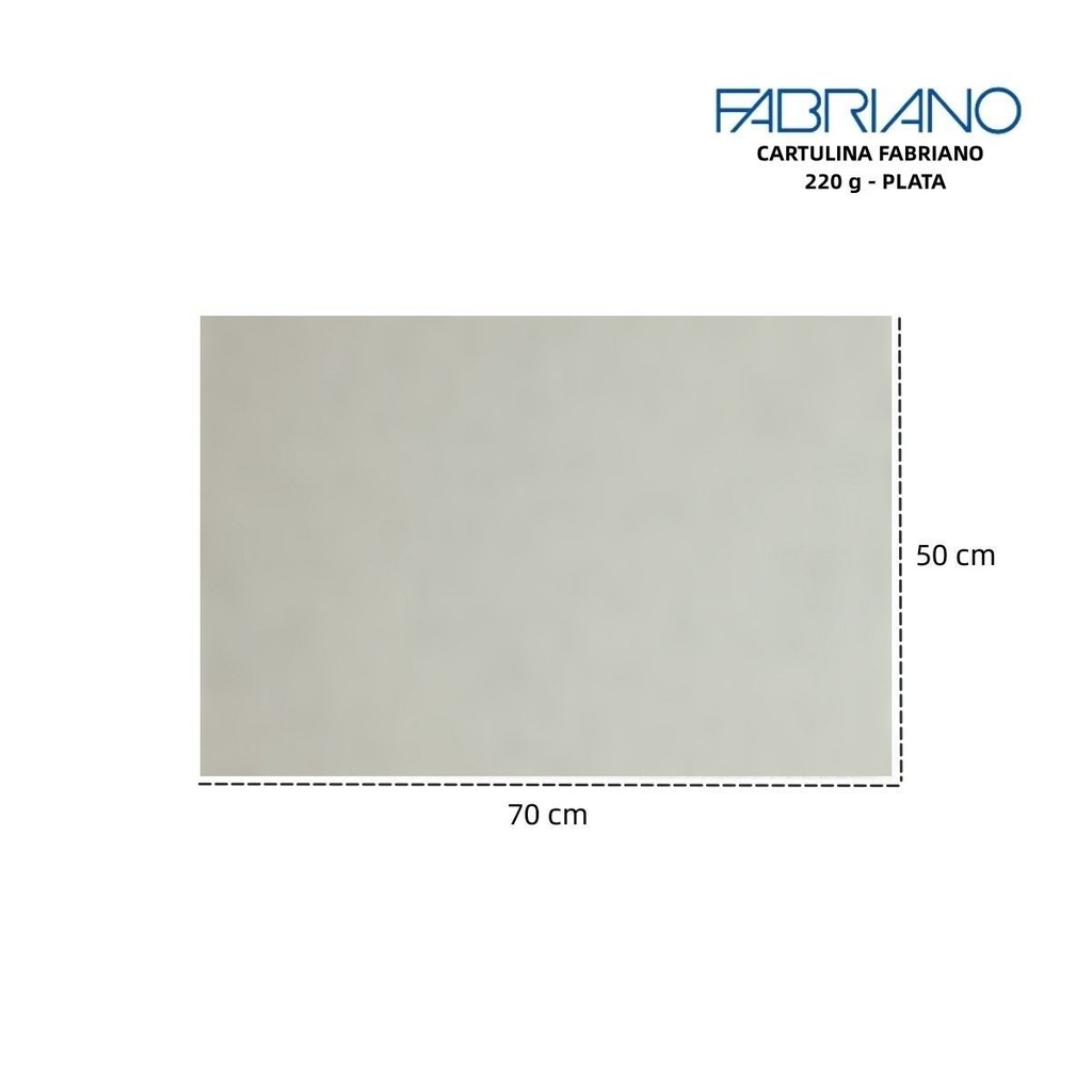 Cartulina Fabriano LR 220g 50x70cm gris