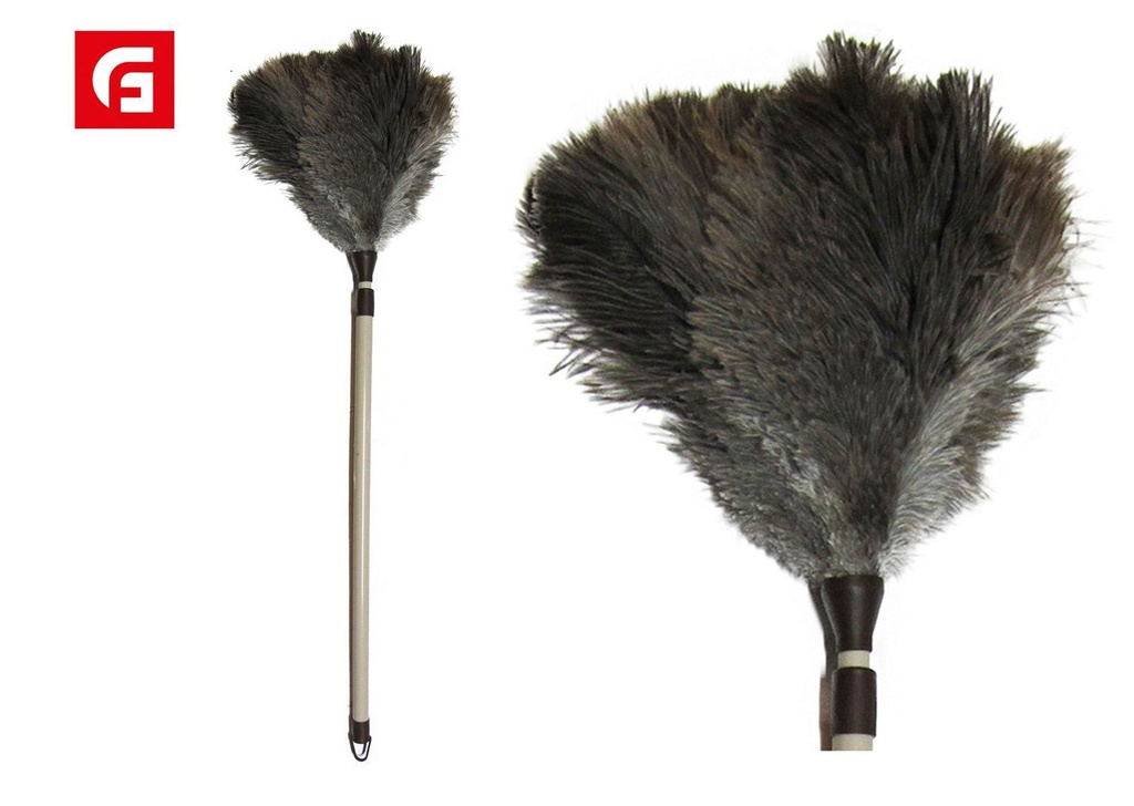 Plumero de avestruz extensible - Accesorios de limpieza