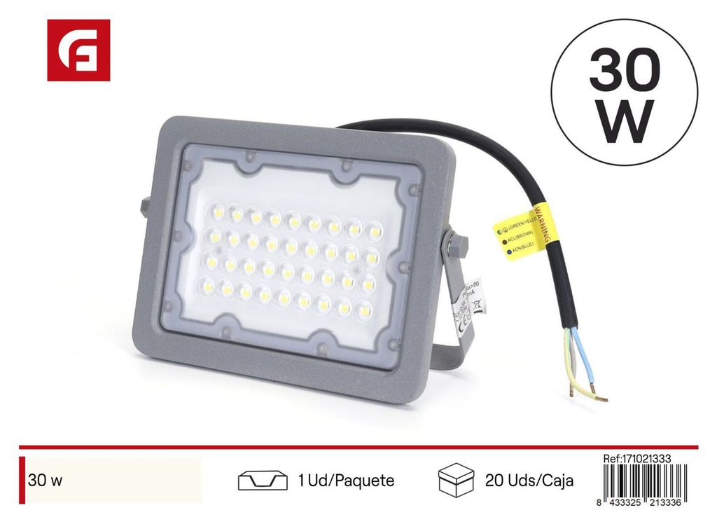 Proyector LED delgado 30W 6500K IP65 para iluminación exterior