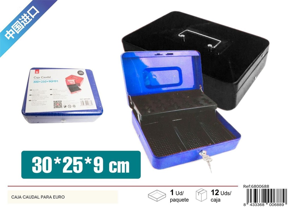 Caja caudales para euros almacenamiento