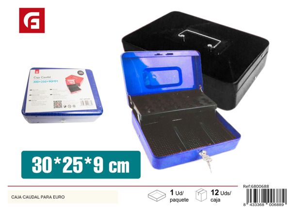 Caja caudales para euros almacenamiento