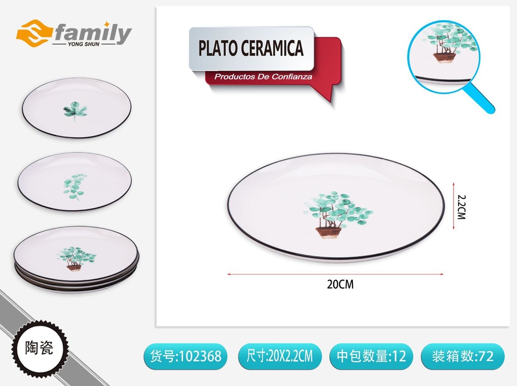 Plato de cerámica 20x2.2cm