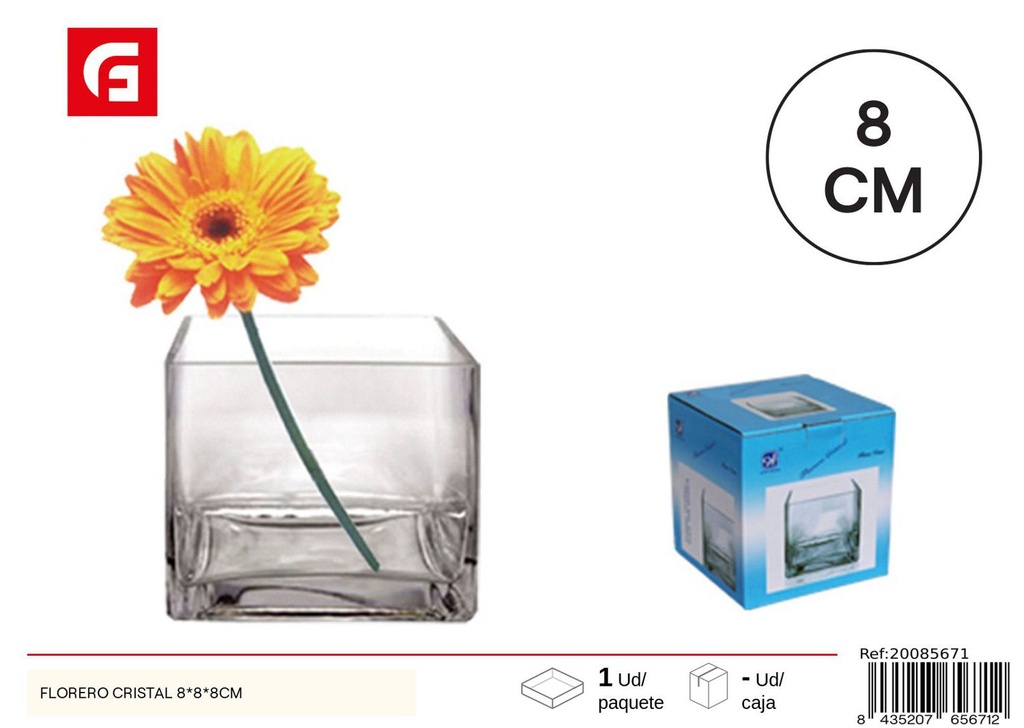 Florero de cristal 8x8x8 cm - Decoración de hogar