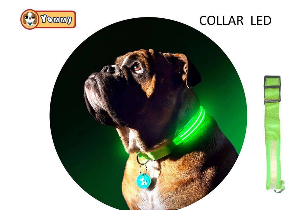 Collar LED para perros L 33-47cm ajustable y visible