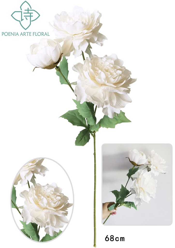 Decoración floral peonía de lámina tres cabezas champagne