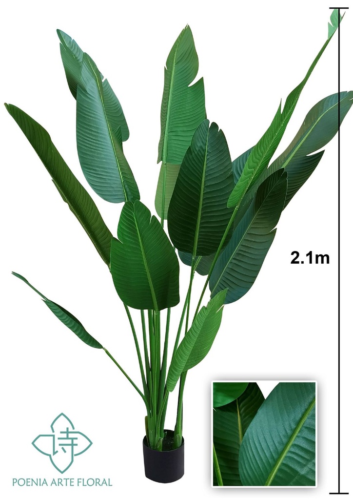 Planta artificial de 210cm de viajante - Decoración de interiores