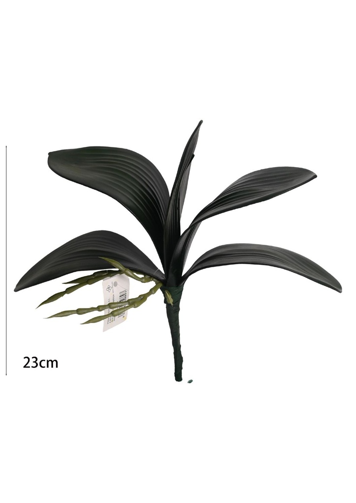 Hojas de orquídea artificial 23CM - Flores decorativas