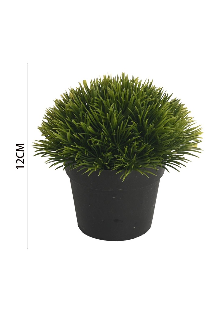 Maceta semiesférica 12cm para plantas decorativas