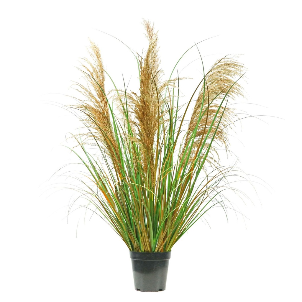 Centro de mesa con cañas naturales 90cm para decoración