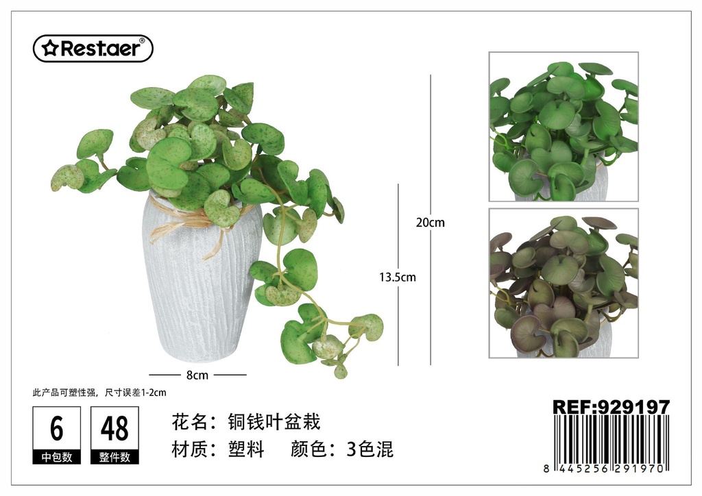Planta artificial de hojas redondas en maceta decorativa