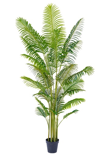 [631182] Árbol de palmera cola de pez 260cm para decoración