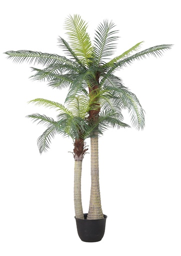 [631269] Planta artificial palmera de cola de pescado 98" (250 cm) - Decoraciones y plantas artificiales