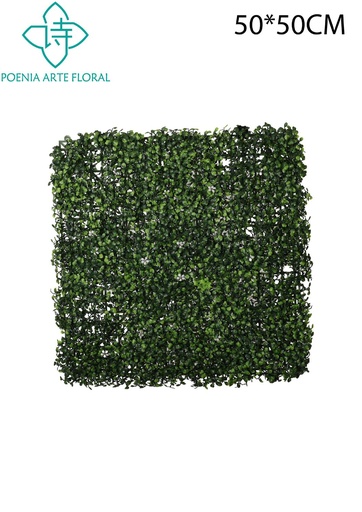 [631296] Pared vegetal con flor de milán 50x50cm A001-4 para jardín vertical