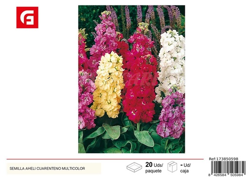 [173850598] Semilla Aheli cuarenteno multicolor - Semillas para jardín