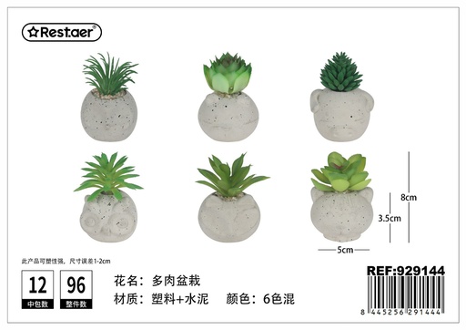 [929144] Planta suculenta en maceta 8 cm - Flores artificiales y decoración