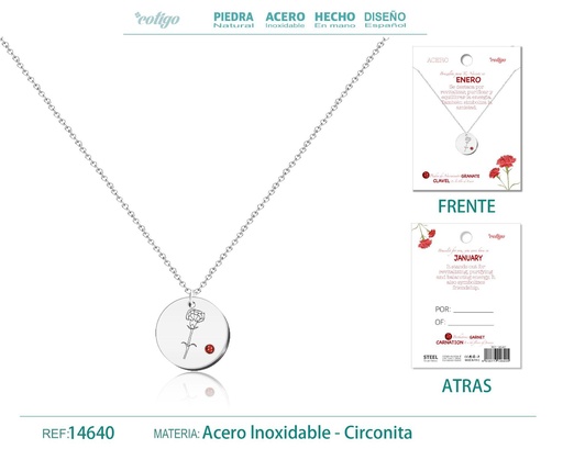 [14640] Collar de Acero para Nacimiento de Enero Plateado - Joyería personalizada para regalos