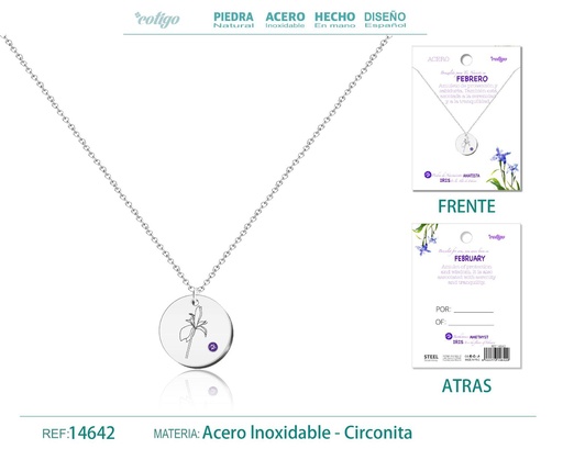 [14642] Collar de Acero para Nacimiento de Febrero Plateado - Joyería personalizada para regalos