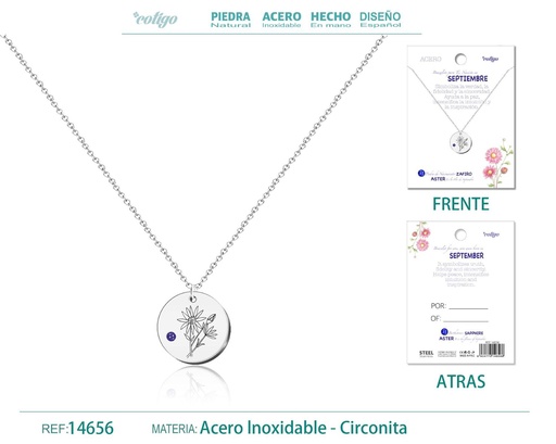 [14656] Collar de Acero para Nacimiento de Septiembre Plateado - Joyería personalizada para regalos