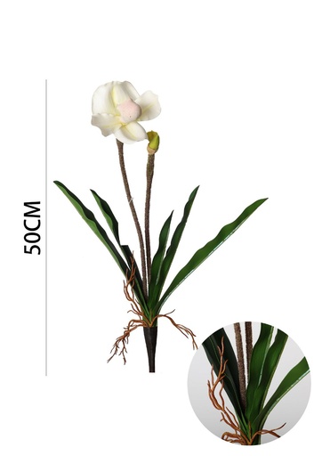[630881-白] Ramo de flores artificiales - Orquídea con hojas en 50 cm