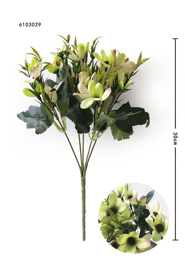 [6103029-2草绿色] Ramo de orquídeas de 20 cabezas - Ramo decorativo