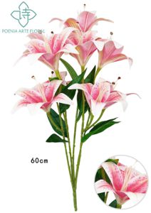 [8435588852024-4] Ramo de 9 lirios en color rosa profundo - Bouquet de lirios