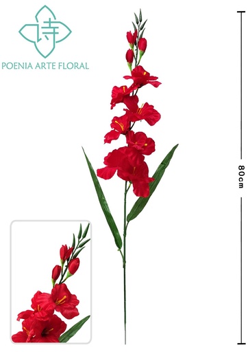 [630220红色] Ramo de gladiolos rojos de 80 cm - Decoración floral