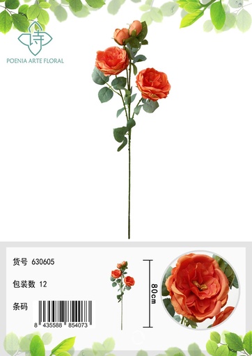 [630605-橘色] Ramo de 4 rosas irlandesas de 70 cm - Bouquet de flores