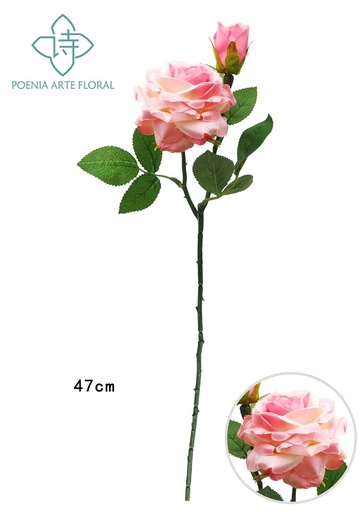 [630394] Ramo de rosas nuevas en color rosa - Decoración floral