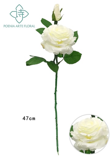 [630394-白色] Ramo de rosas nuevas - Decoración floral