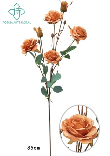 [630313橘色] Ramo de 6 rosas de aceite - Decoración floral