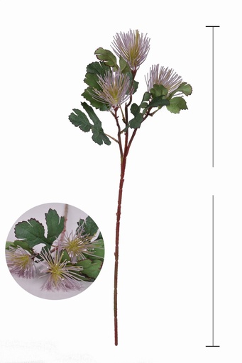 [630158-5] Ramo 630158-5(8435588805396) - Decoración floral