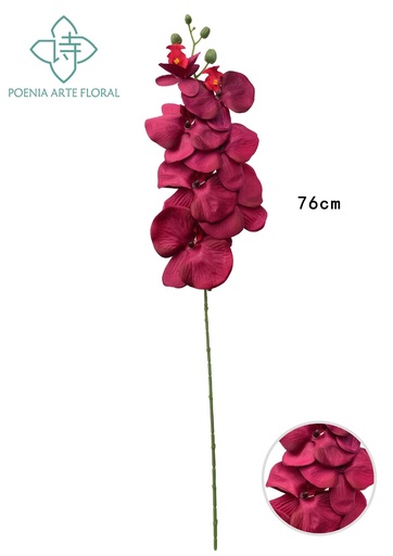 [6103013B-深红] Ramo de orquídea mariposa en color rojo oscuro - Decoraciones florales