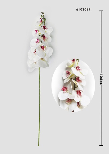 [6103039白红心] Ramo decorativo de orquídeas en 3D