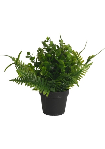 [630560双绿] Pozuelo artificial con combinación de eucalipto y hierba acuática - Pequeño macetero decorativo