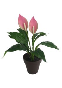 [M630905粉] Bonsái artificial de 12 cabezas de paz en maceta de 43 cm - Planta decorativa