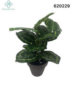 [620229凤凰叶] Bonsái artificial de planta verde de 45 cm con hojas de fénix - Planta decorativa