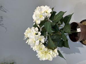 [M630809白色] Bonsái artificial de mínimo M630809 blanco - Planta decorativa
