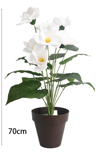 [630955白色] Vara de flores de 18 cabezas de magnolia - Decoración floral