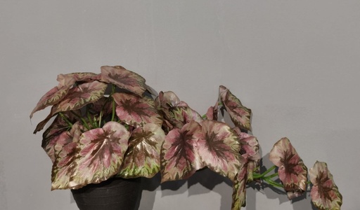 [630438] Bonsái artificial de hojas de concha colgantes - Planta decorativa